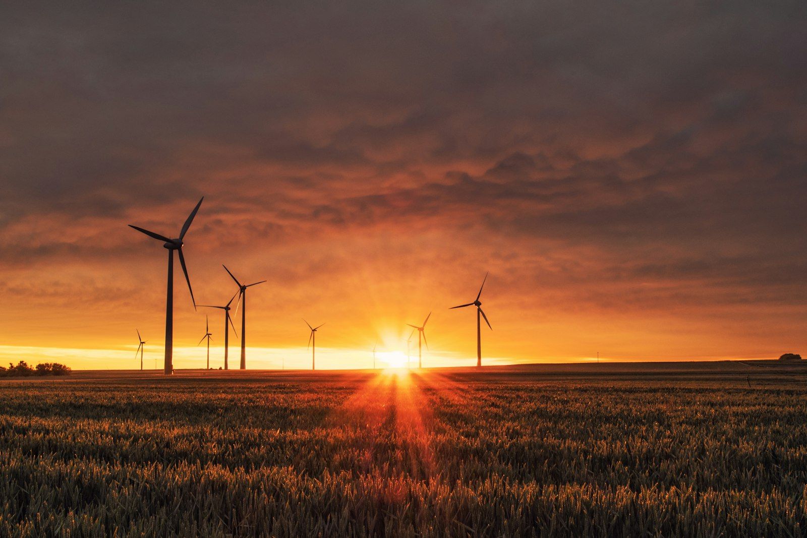 A line of high-voltage transmission towers stretching across a flat western landscape at dusk.